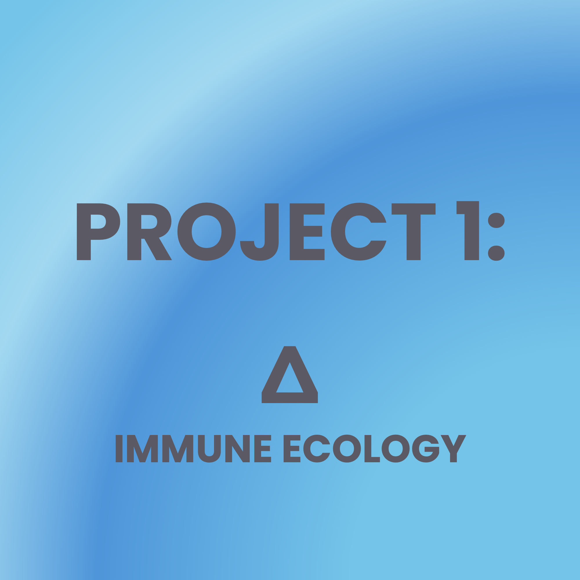 Project 1
