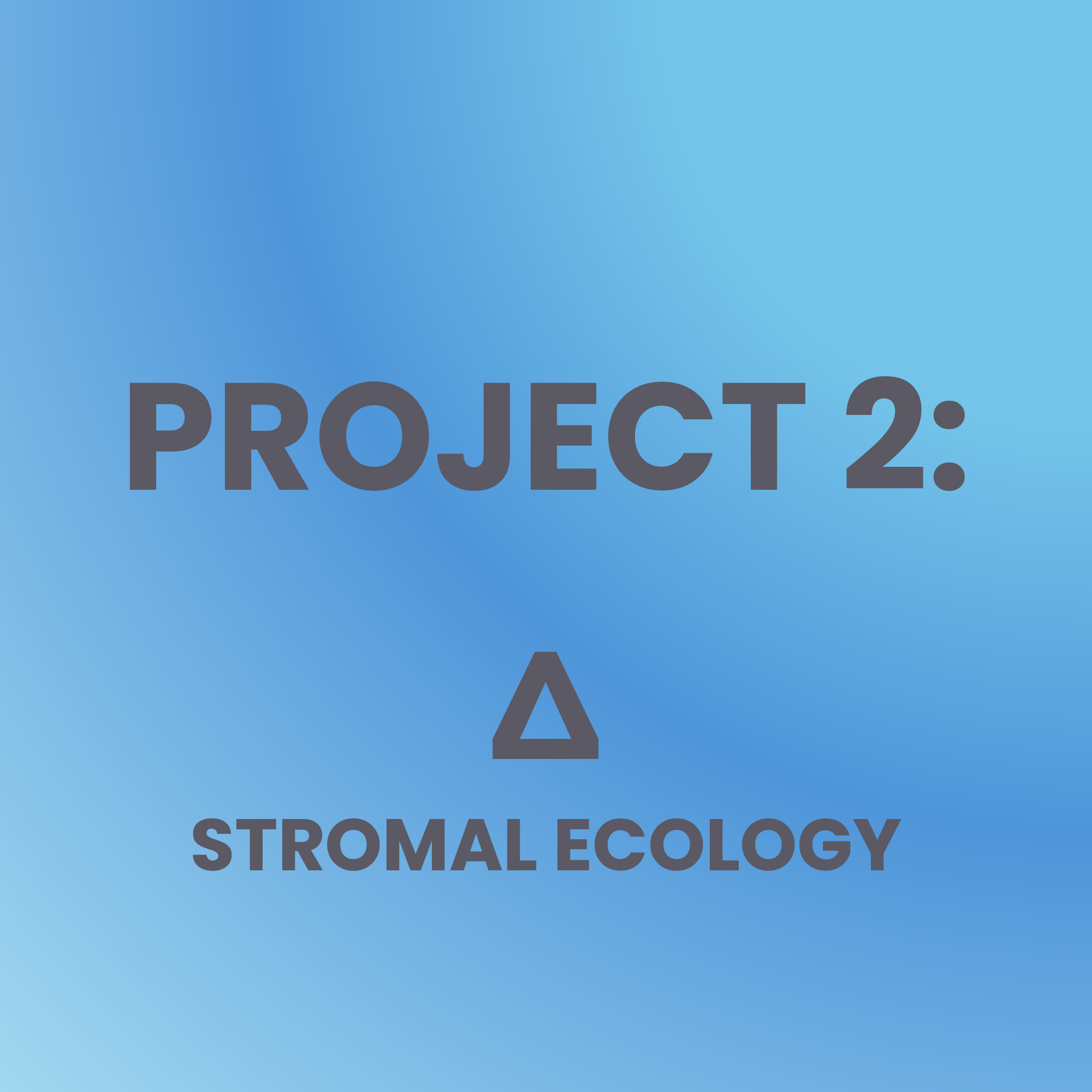 Project 2